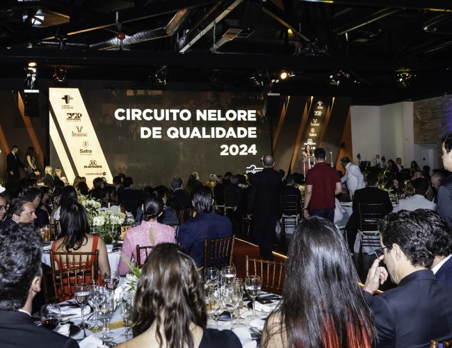 Circuito Nelore de Qualidade 2024 avaliou mais de 38 mil animais no Brasil, Bolívia e Paraguai